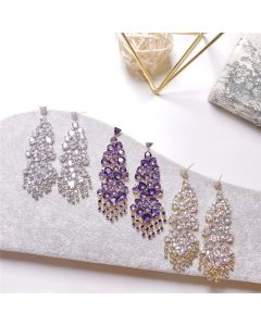 Special Shaped Zirconium Banquet Style Earrings Silver Post