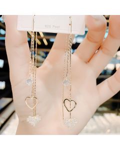 High-end Ear Line 925 Silver Earrings