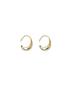 Cold Wind High-end French Ear Hooks New Chinese Style Ins Design Fashion Earrings
