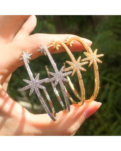 Exaggerated Pozi Star Earrings