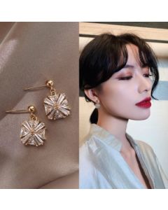Temperament zircon earrings