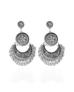 Tassel metal earrings and ears