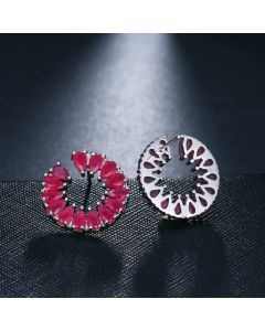 Temperament Yueer Curved Zircon Female Stud Earrings All-match Jewelry