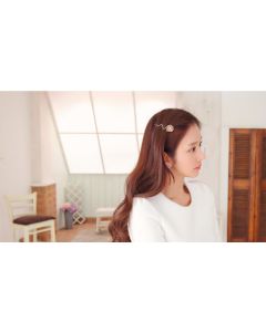 Girl jewelry Korean version of the leaf earrings