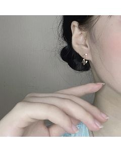 Butterfly Female Simple Temperament Earrings Net Red Personality Trendy Face Thin Earrings