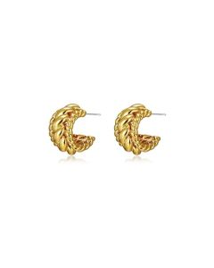 Twist Twisted C-shaped Earrings Female Personality High-end Design Earrings