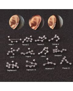 Creative Twelve Constellation Stainless Steel Zircon Earrings