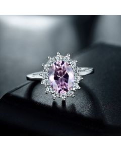 Light Luxury Rings Exquisite Simple And Versatile 925 Silver Ins Style Design Jewelry