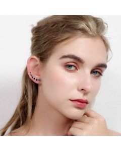 Super Shiny Black Zircon Long Round Earrings