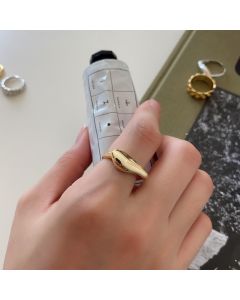 Sterling Silver Irregular Ring