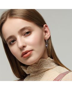 Light Luxury Long Copper Plated Zircon Earrings