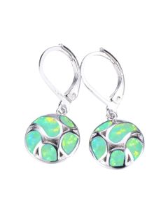Exquisite earrings