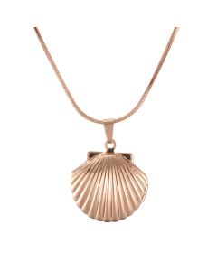 Creative alloy clavicle chain shell necklace