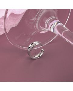 Irregular Non-pierced Ear Clip Female Personality Fashion All-match Gold-plated Silver Jewelry