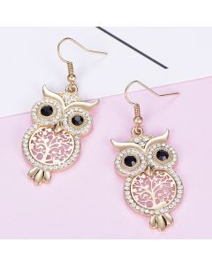 Fashion Personality Owl Ear Hook Punk Opal Earrings Alloy Earrings