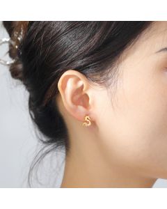 Mini Chinese Dragon Earrings Women's Titanium Steel