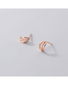 Fashion earrings